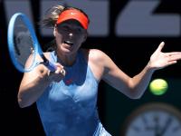 华体会- 莎拉波娃个人简介 